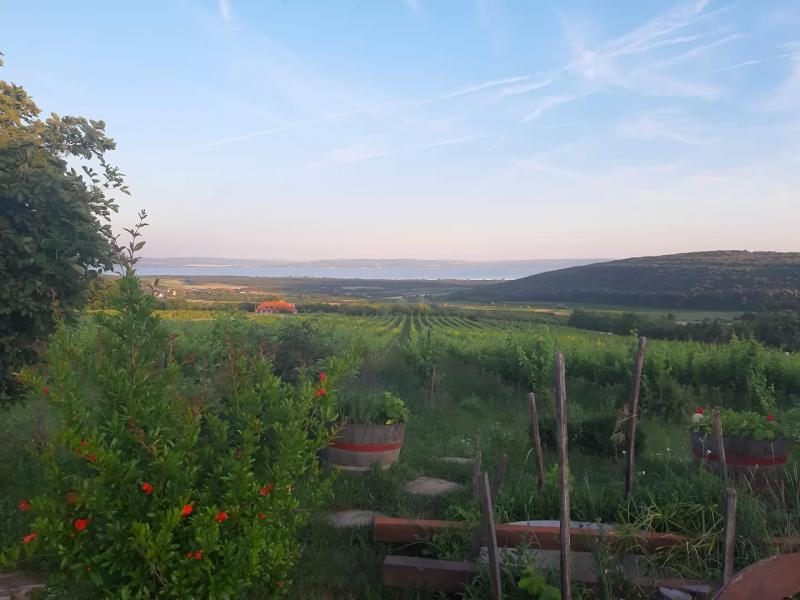 Madaras Pincészet – Borbár (Mencshely)