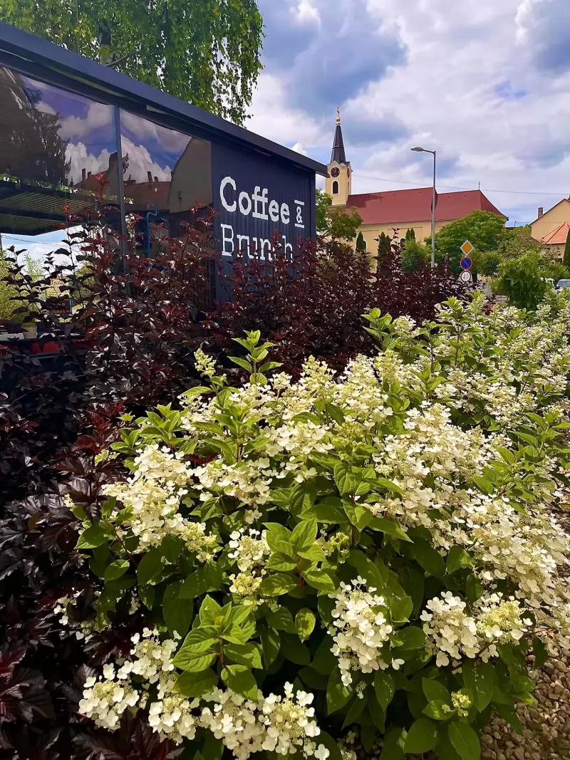 R Coffee & Roastery – Cukrászda (Rétság)