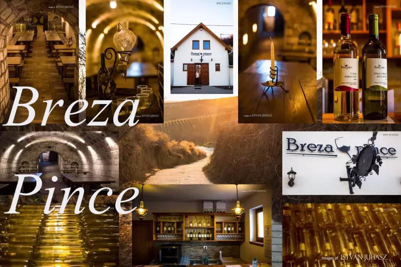 Breza Pince – Borászat/Pincészet (Tokaj)