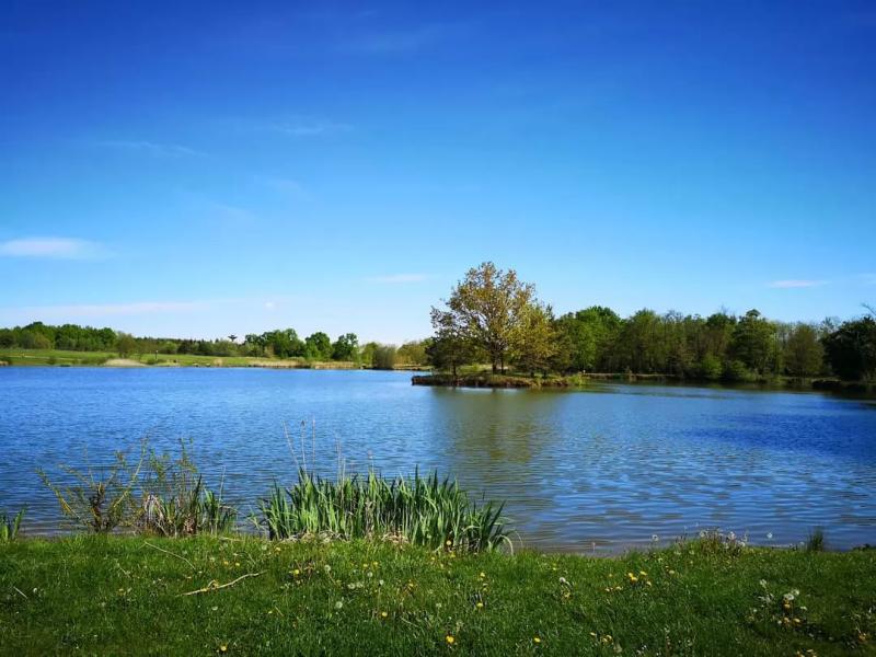 Betyártanya Étterem – Étterem (Zalabaksa)