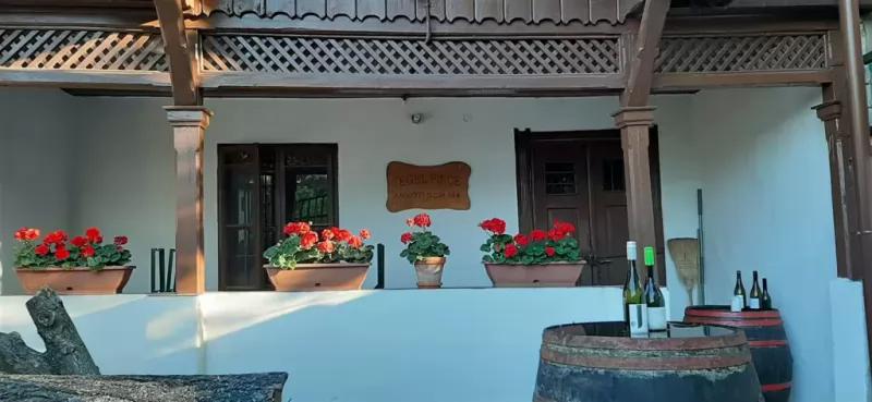 Tégel Pince – Borászat/Pincészet (Miskolc)