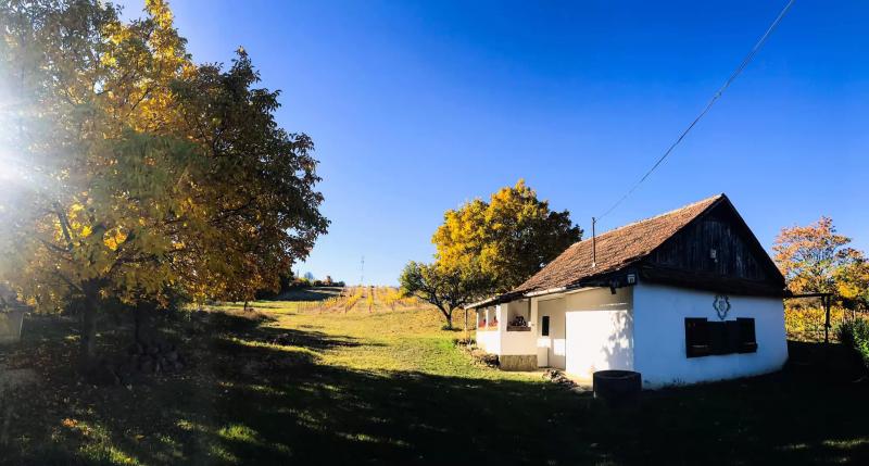 Gácsi Pince – Borászat/Pincészet (Nagyréde)