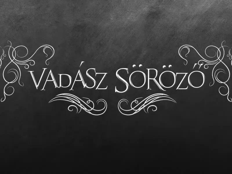 Vadász Söröző – Söröző (Elek)