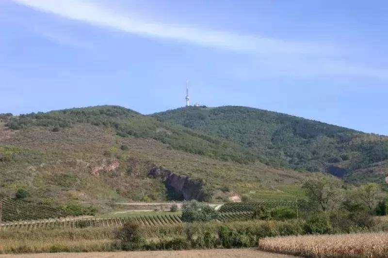 Erdős Pince - Borkatakomba – Borászat/Pincészet (Tokaj)