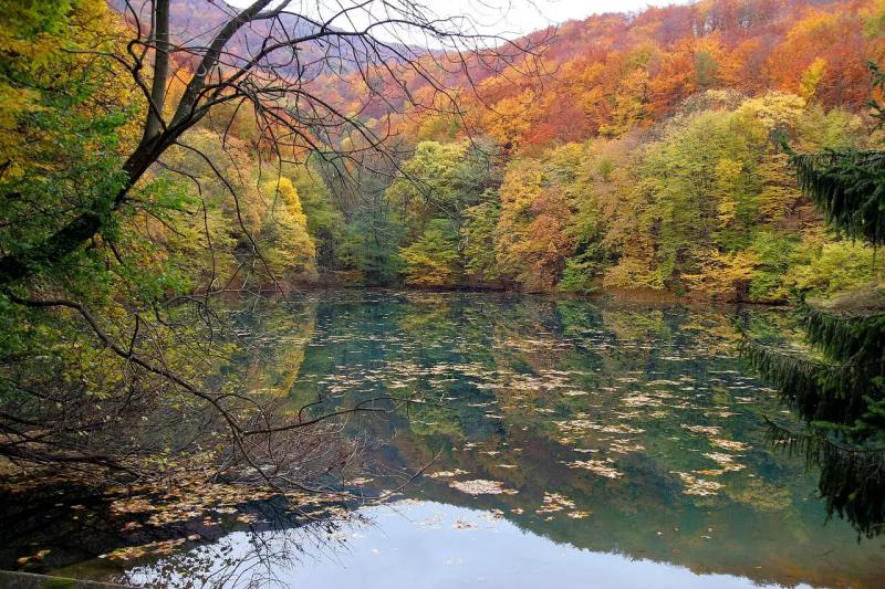 Pisztráng Vendéglő – Étterem (Szilvásvárad)