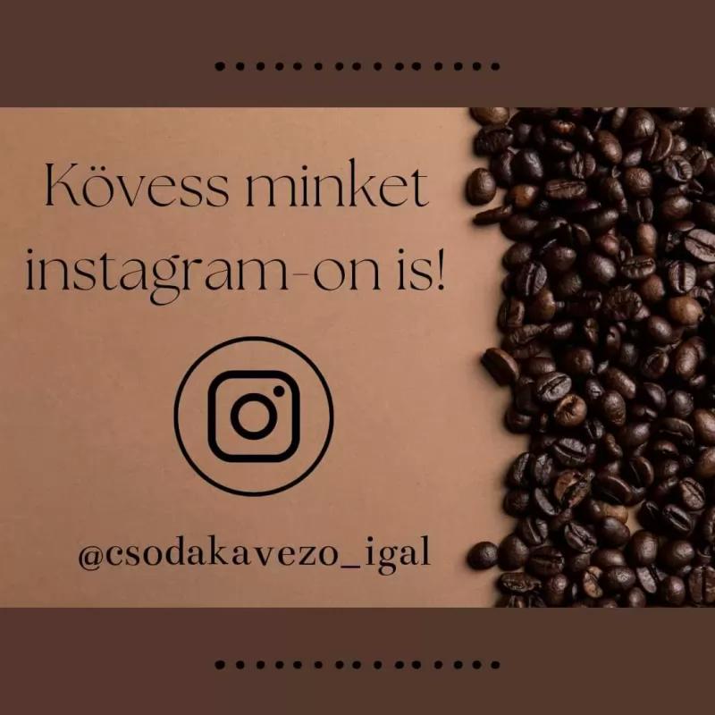 Csoda Kávézó – Kávézó (Igal)