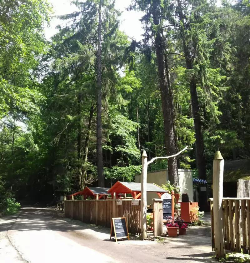 Sáfrány Pisztráng, Szilvásvárad – Büfé (Szilvásvárad)