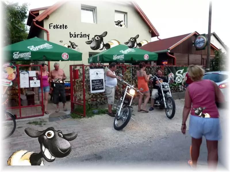 Fekete Bárány Söröző-Fagyizó – Bár (Velence)