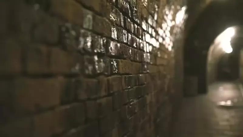 Polgár Pincészet és Panzió – Borászat/Pincészet (Villány)