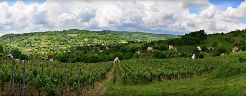 Heimann Birtok – Borászat/Pincészet (Szekszárd)