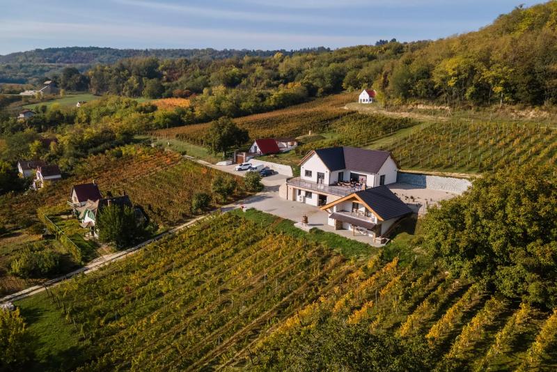 Pastor Garage Winery – Borászat/Pincészet (Decs)