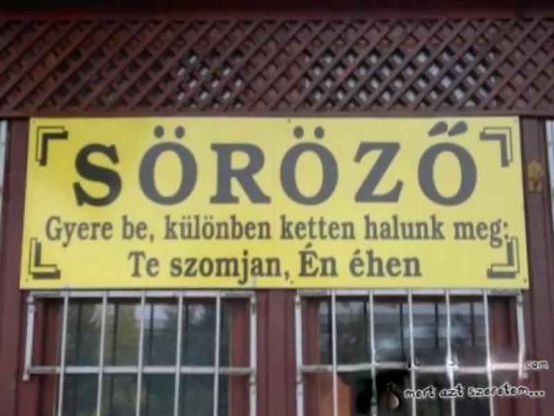 Kakukk Borozó – Borbár (Veszprém)