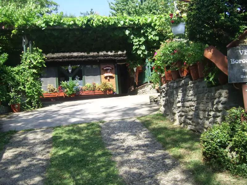 Véndiófa Borozó és Étterem - Tihany – Borbár (Tihany)