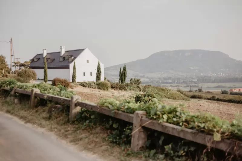 Gilvesy Winery – Borászat/Pincészet (Hegymagas)