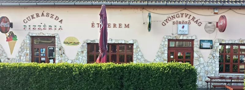 Gyöngyvirág Pizzéria, Étterem és Söröző – Étterem (Vámosgyörk)