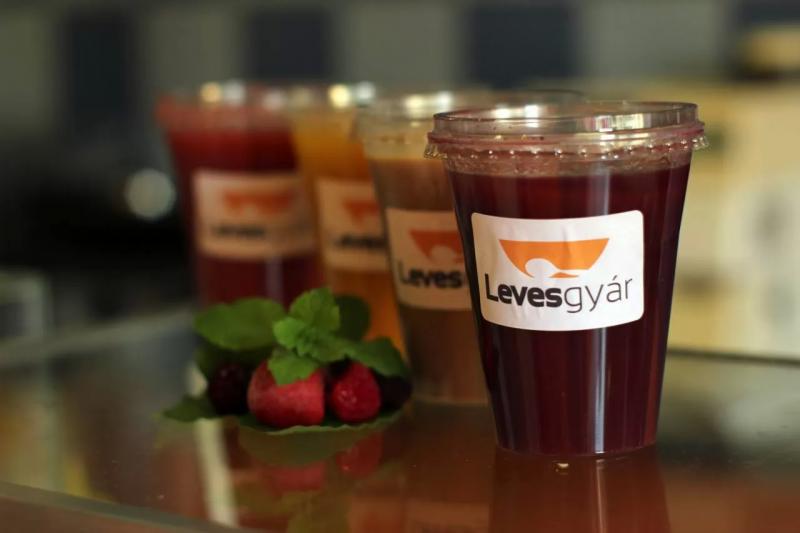 Levesgyár – Levesező (Budapest, VIII. kerület)