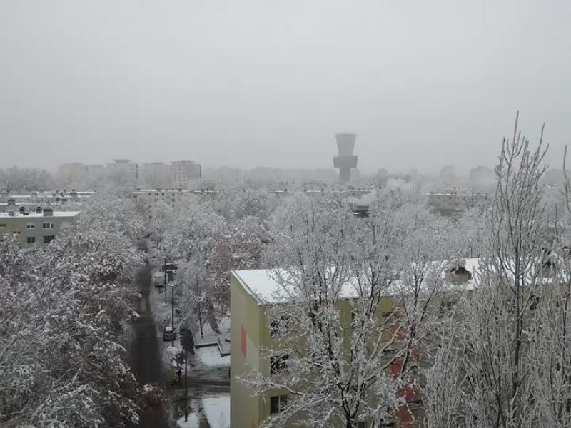Zsírdisznó Zrt. – Bár (Szeged)