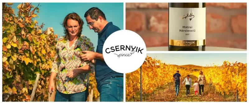 Csernyik pince – Borászat/Pincészet (Gyöngyöstarján)