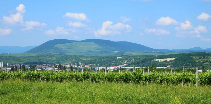 Kutatási és Fejlesztési Központ – Borászat/Pincészet (Eger)