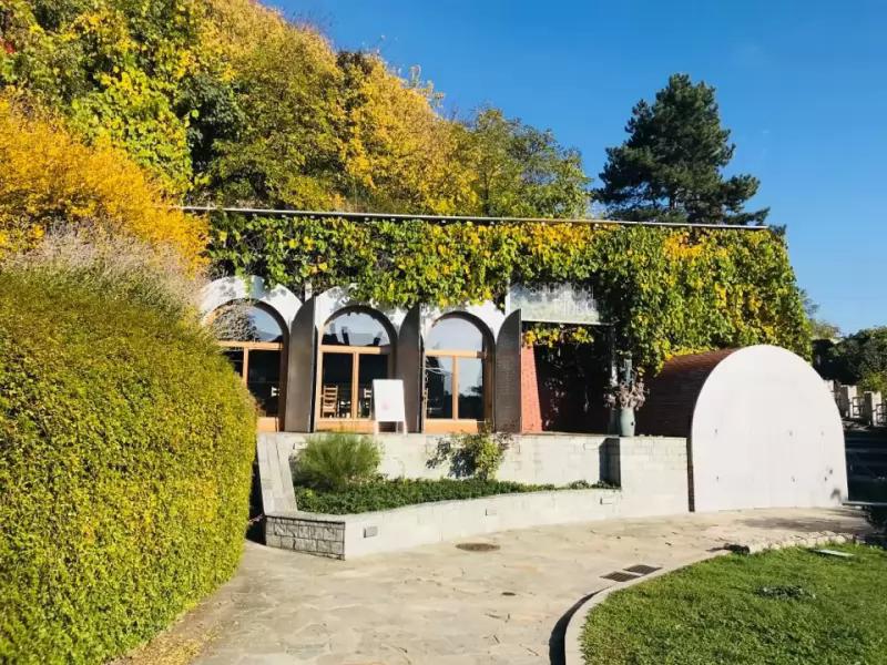 Somogyi Tibor Pincészete Villányi és Pécsi Borok – Borászat/Pincészet (Pécs)