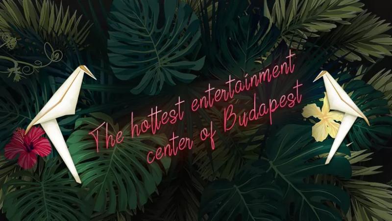 Neverland Bar & Escape Room – Bár (Budapest, VII. kerület)