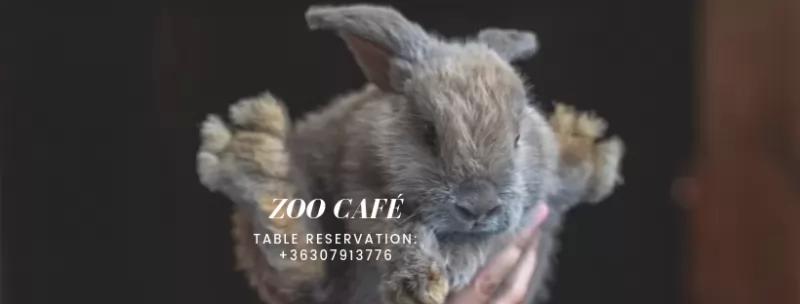 Zoo Café – Egyéb (Budapest, V. kerület)