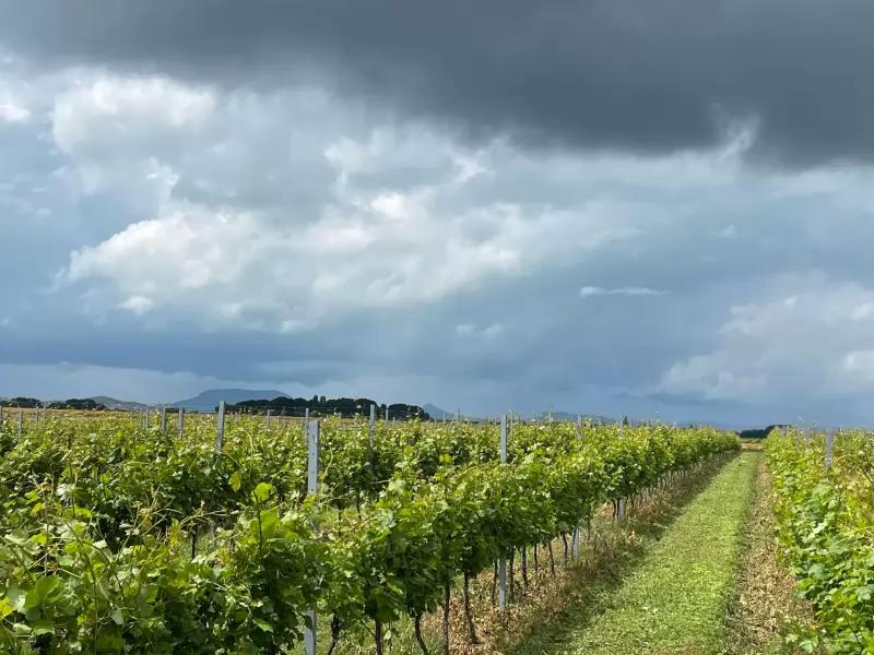 Oroszi Présház – Borbár (Balatonszemes)