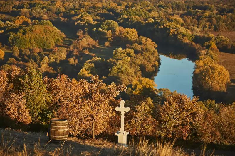 Dereszla Pincészet – Borászat/Pincészet (Bodrogkeresztúr)