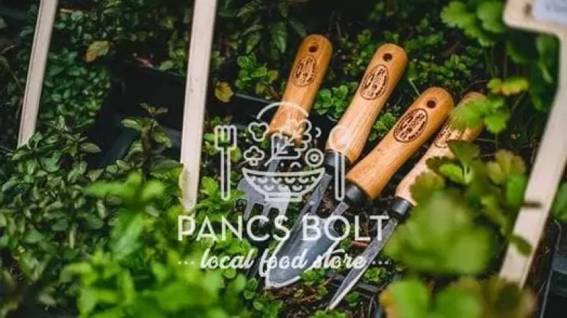 Pancs Bolt-Újbuda – Kávézó (Budapest, XI. kerület)