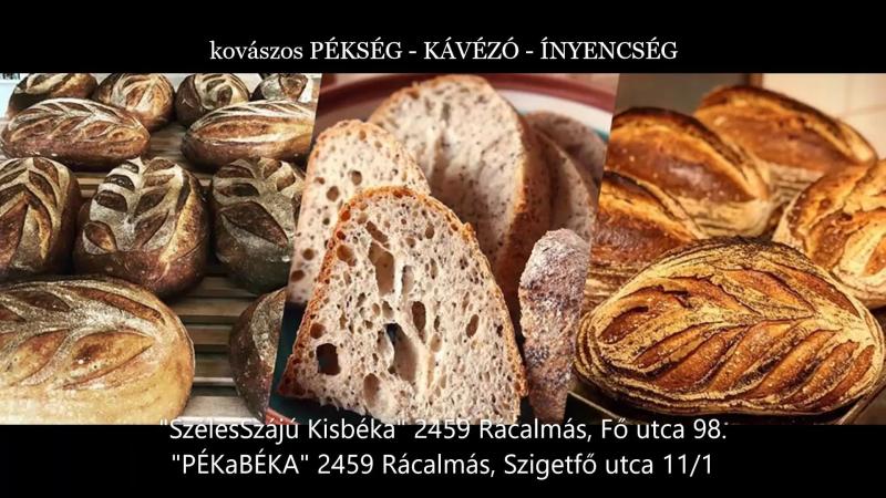 Szélesszájú Kisbéka – Kávézó (Rácalmás)