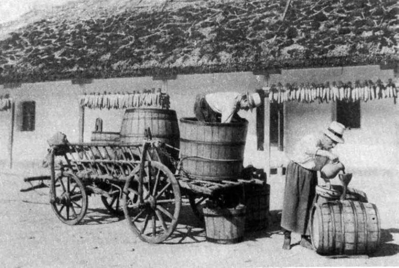 Petőfi - Károlyi Pince – Borbár (Sopron)