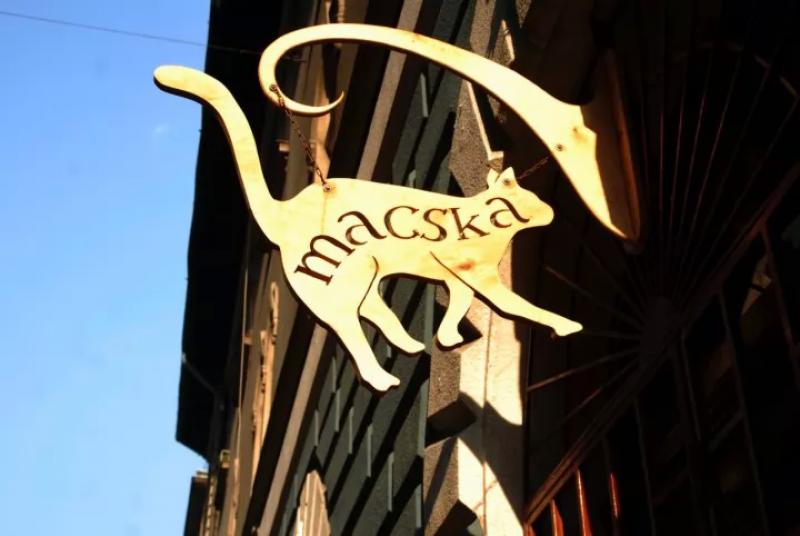 Macska – Kávézó (Budapest, VIII. kerület)