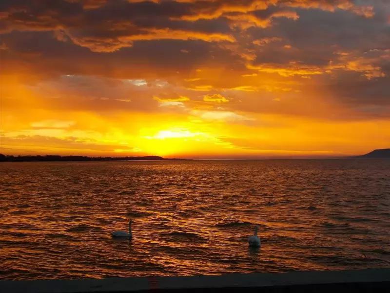 Márti büfé – Büfé (Balatonszemes)