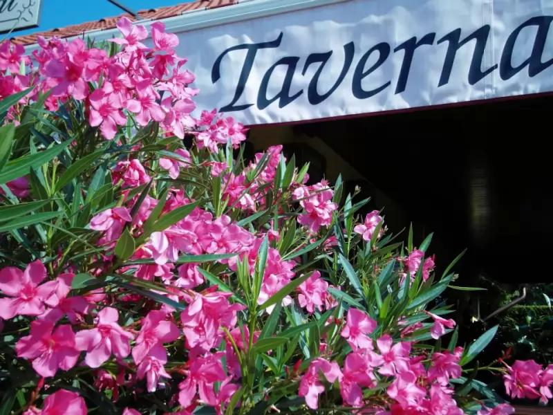 Anno Taverna Étterem – Étterem (Balatonszárszó)