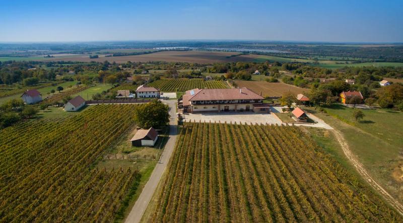 Ebner Pincészet és Panzió – Borászat/Pincészet (Mozsgó)