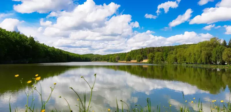 Fortuna Vendéglő És Vendégház – Étterem (Kistolmács)