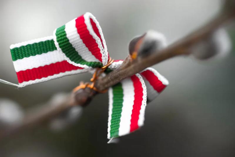 Budafoki Szomszédok Piaca – Egyéb (Budapest, XXII. kerület)