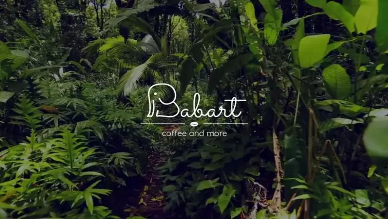 Café Babart – Bár (Budapest, VII. kerület)