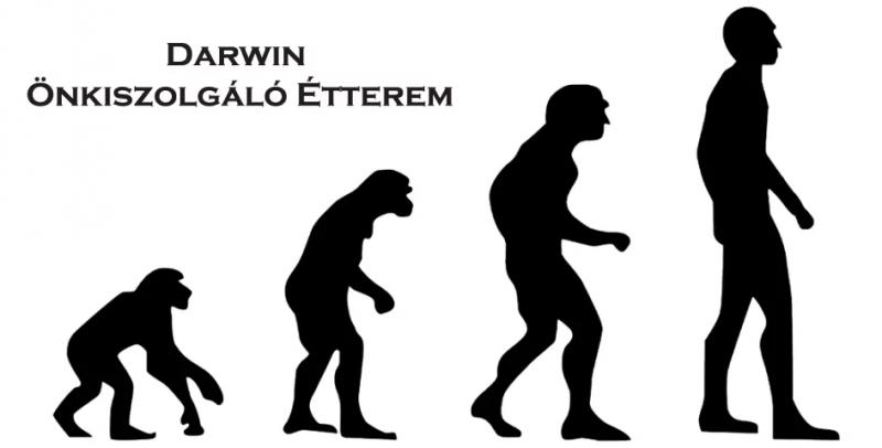 Darwin Önkiszolgáló Étterem – Ételbár (Budapest, IX. kerület)