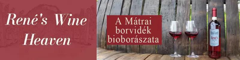 Szolnoki Borkör – Bisztró (Szolnok)