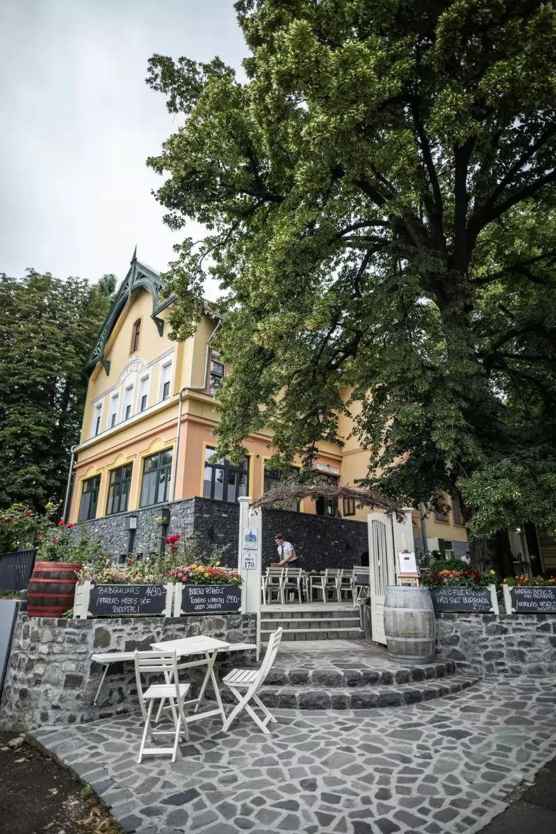 Neptun Badacsony és Tilia Borvendéglő – Vendéglő (Badacsonytomaj)