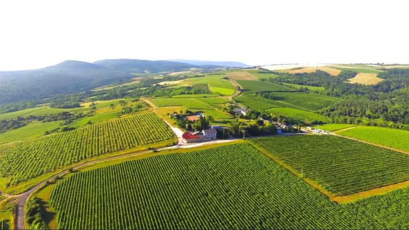 Hilltop Borbirtok & Étterem – Étterem (Neszmély)