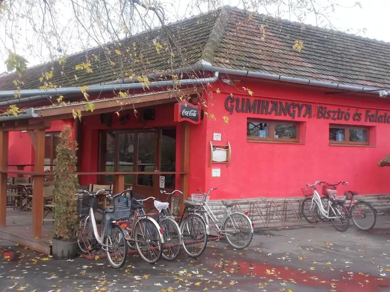 Gumihangya – Étterem (Doboz)