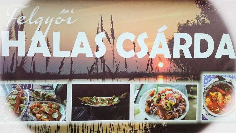 Felgyői Halascsárda – Csárda (Felgyo)
