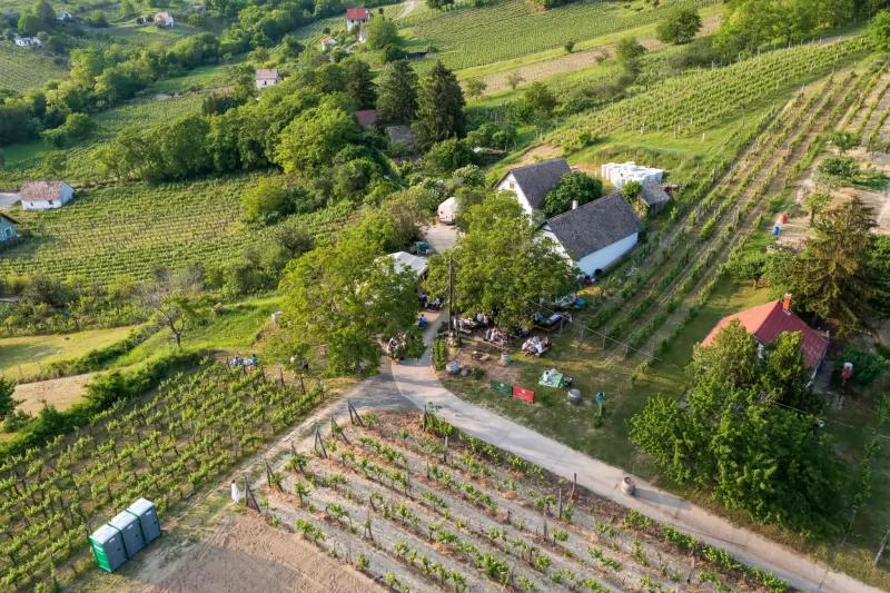 Németh János Pincészet – Borászat/Pincészet (Szekszárd)